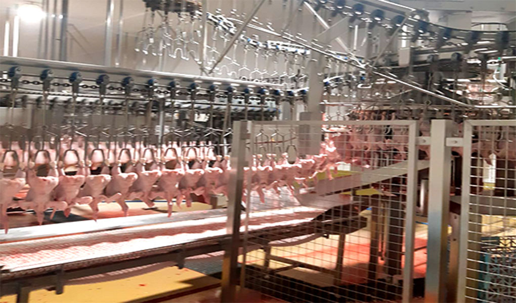 Cinta-trasportadora-agroalimentaria-Tudenova-Tudela-Navarra-Metalistería